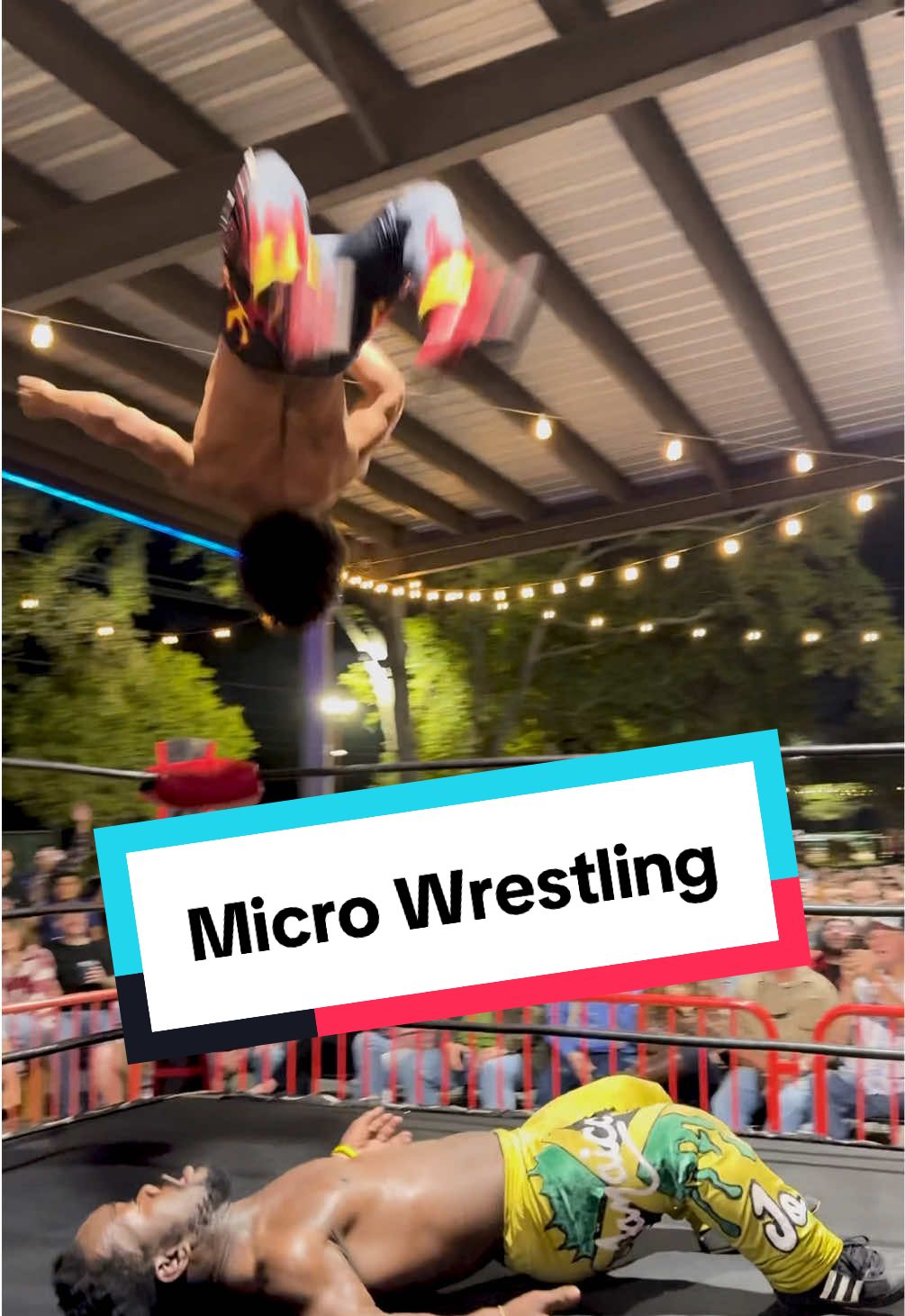 Micro Wrestling Highlight Reel featuring Micro One & Micro Too #prowrestlingtiktok #nirvanaedit 