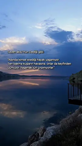 S T O R Y L İ K #📌  Sezen aksu