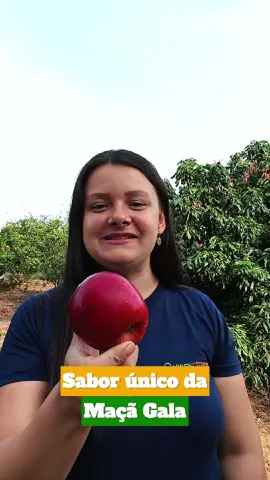 Desfrutando da beleza e do sabor único da maçã Gala! ✨🍎  #maçãgala #galaapple #fruta #saudavel