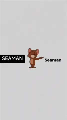SEAMANပဲ🤭🌊🌊🌊#foryou#fpyシ #Fyp#seamantiktok#seaman #seamanlife #ရောက်ချင်တဲ့နေရာရောက်👌 
