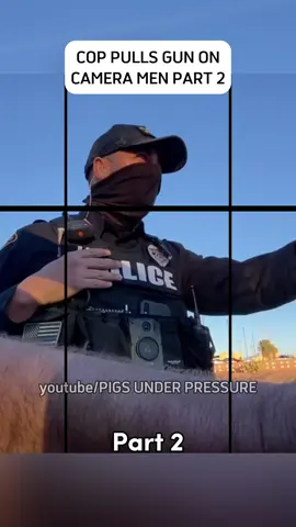 youtube/PIGS UNDER PRESSURE Part 2