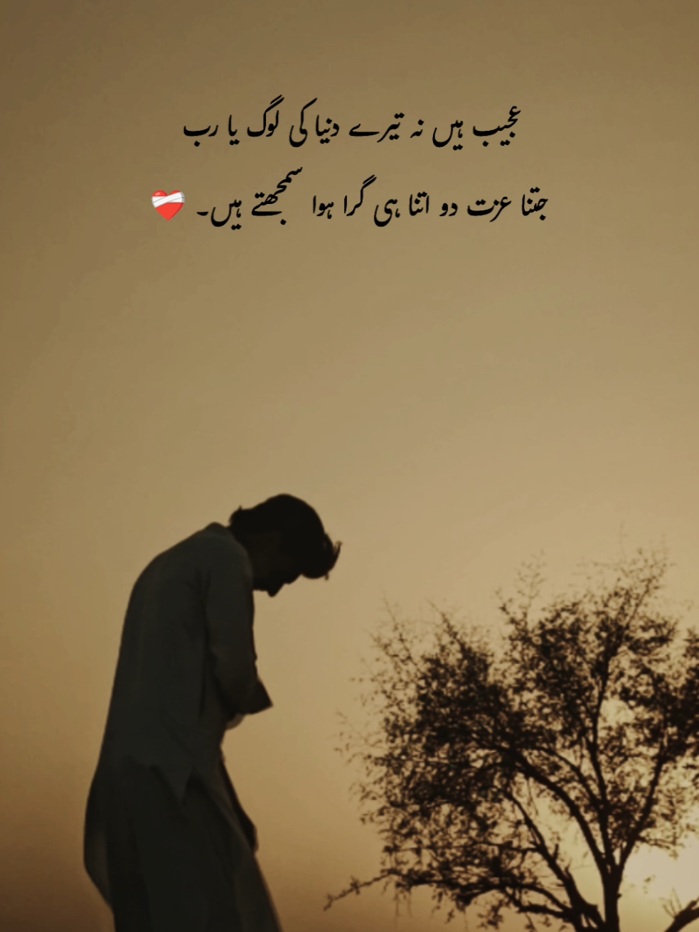 اتنا ہی گرا ہوا سمجھتے ہیں۔ 🥹❤️‍🩹 #Wahabtypis1 #foryouu #foryoupagee #growmyaccount #aesthetic #aestheticvideos #fyp #urdu #urdupoetry #urdupeotry #urdushayari #urduline #whatsappstatus #fyp #unfreezemyacount #Foryou #foryourepage #viral #videoviral 