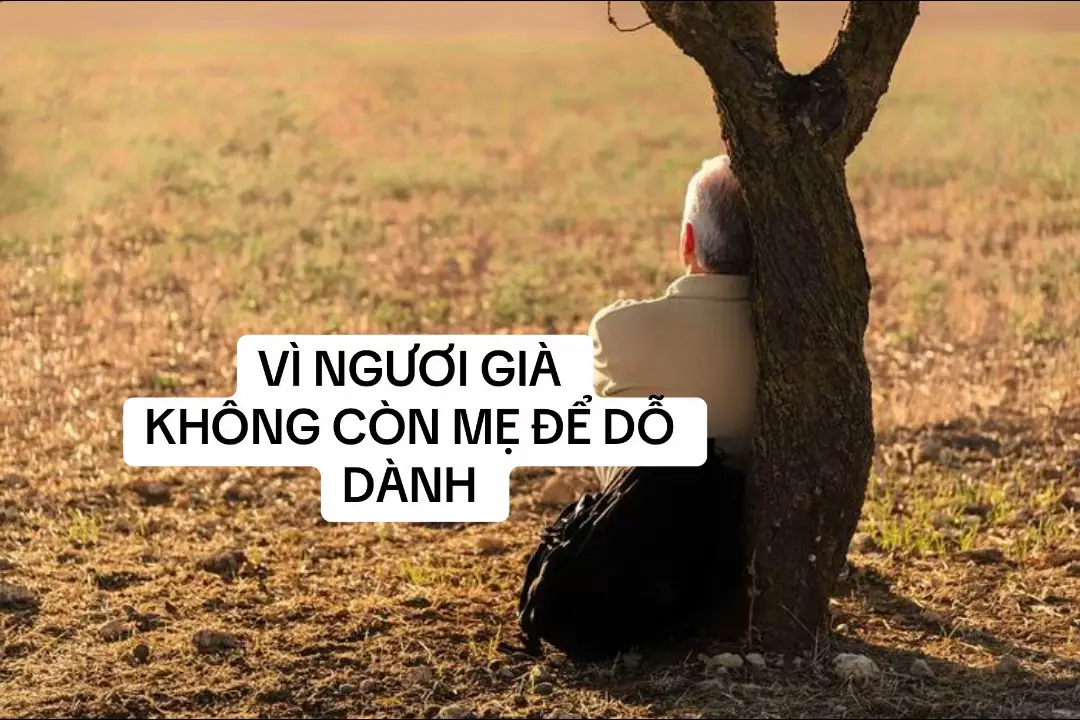 Vì Người Già... Không Còn Mẹ Để Dỗ Dành Hôm nay, tôi vô tình nghe được một đoạn đối thoại giản dị, mà lòng chùng lại: - Tại sao trẻ con tè dầm thì mọi người thấy bình thường, còn người già tè dầm lại bị coi là phiền phức? - Vì người già... không còn mẹ nữa. Chỉ một câu thôi, mà như có ai bóp nhẹ tim mình. Phải rồi... Em bé thì có mẹ lau khô, vỗ về, dỗ ngọt: 