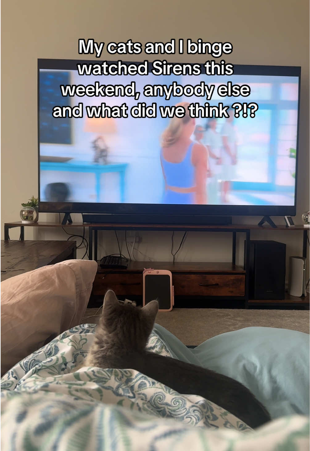 Cats thought it was great *SPOILERS BELOW* don’t read if you don’t want emmm