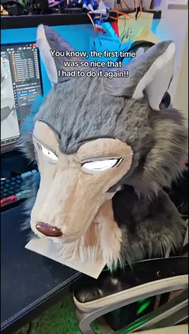 New Legoshi project from Beastars 👀!!! The experience with this project so far has been the best of my entire career, but I want to take this cosplay to the next level! The more time passed, the more I realized how many things I could add to improve the mask, also following many tips that all of you have given over time and that I have taken into consideration! All these actions will serve to make the costume even more alive and even more the same in the details! #cosplay #beastars #beastarscosplay #legoshi #legoshicosplay #legoshibeastars #wolf #🐺 #fyp 