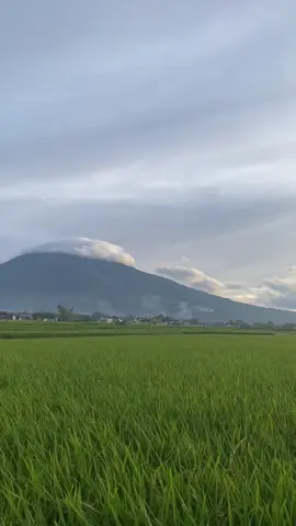 sia nan acok kasiko sanak#belakangkampusuinbukittinggi #marapi#viewsawah #kampushijau💚 #sumaterabarat #fyp