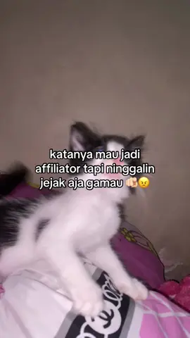 #affiliatetiktok #affiliatemarketing #fypage #moots? #4upage