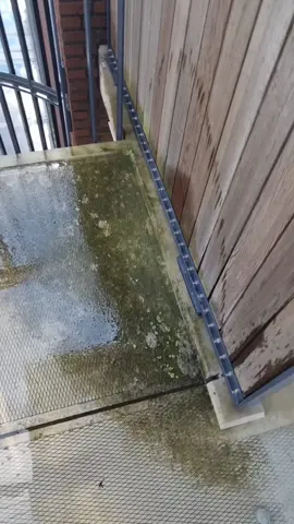 #superclean #mr_powerwash #satisfyingvideo #CleanTok #clean #pressurewashing #powerwashing #satisfying #cleaning #pressurewasher #satisfaction #tiktoknl #cleaningtiktok #cleanpedia 