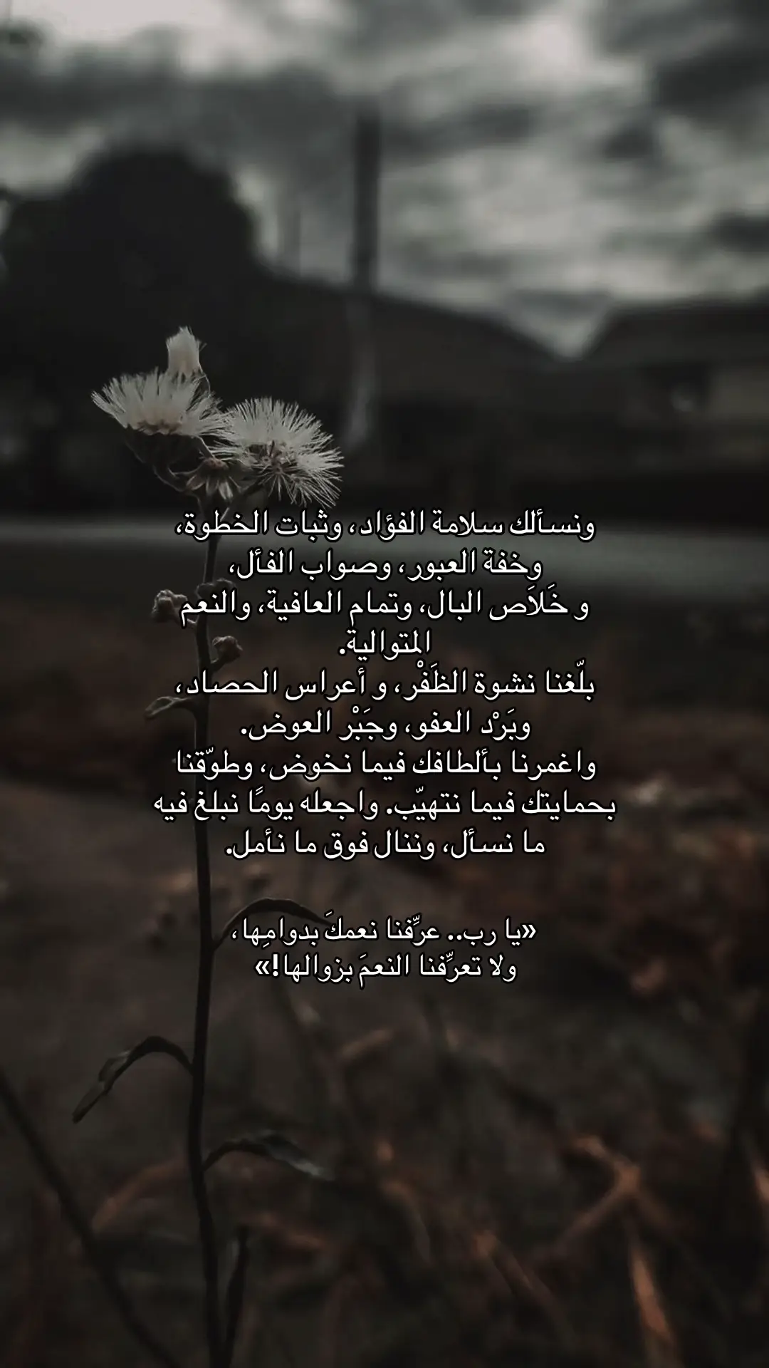 #اكسبلوررررررر #اقتباسات #يوم_عرفة 