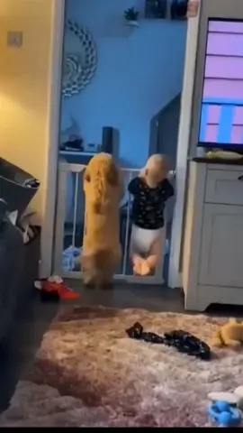 So cute #cutedogs #us 