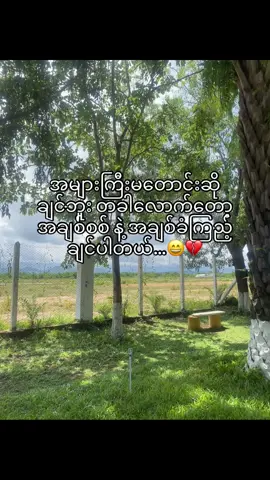 #tiktok @TikTok @tiktok creators  တခါလေးပါပဲ🥹