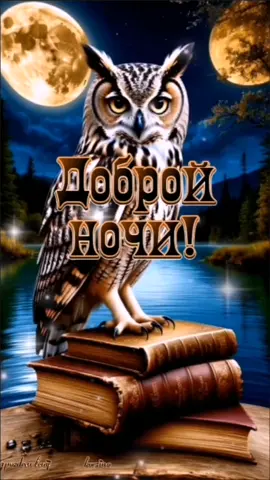 Доброй ночки, мои хорошие!🌆✨🌙 #добройночи #добройноченьки #добройночки #спокойнойночи #добройночисладкихснов #красивоевидео #открытка #пожелание #корзиночкапоздравлений #свежее #лучшее #новинки #2025 #втоп #вреки #врекомендации 