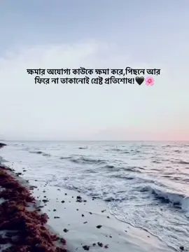 ক্ষমার অযোগ্য কাউকে ক্ষমা করে, পিছনে আর ফিরে না তাকানোই শ্রেষ্ট প্রতিশোধ ❤️‍🩹 @TikTok Bangladesh #foryou #idfreezz🙏🙏 #bdtiktok #foryouplz #viral #evu #foryoupage 