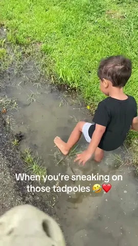 #familymoments #fyp #countryboy #tadpoles 