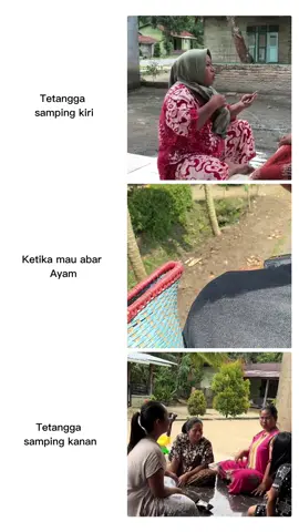 Bahan dw mu bolo#ayam #bangkok #bkklasik #abarayam #foryou #fyp 