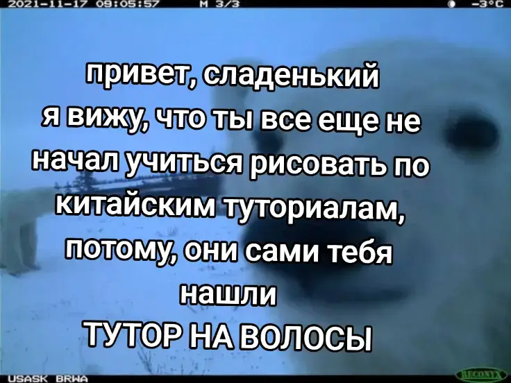 ляляля, я Семён Лобанов, у меня башка из картошки  тгк: ⚠️ежик со стилусом⚠️ #арт #art #ibis #ibispaintx #artist #tutorial #тутор #волосы #рендер #render #ибис #ибиспаинт 
