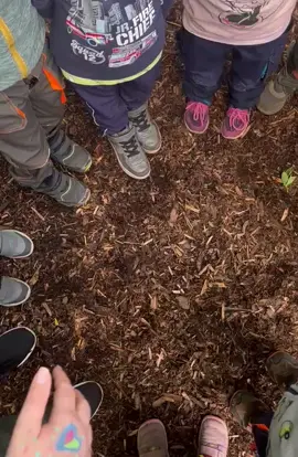Abschied der Großen  in der Waldgruppe🌼🫶😊🐞🌳 #tschüsskindergarten #waldgruppe #abschied 