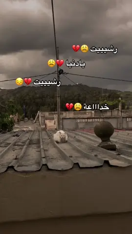 رشيت يا دنيا رشيت 💔😩