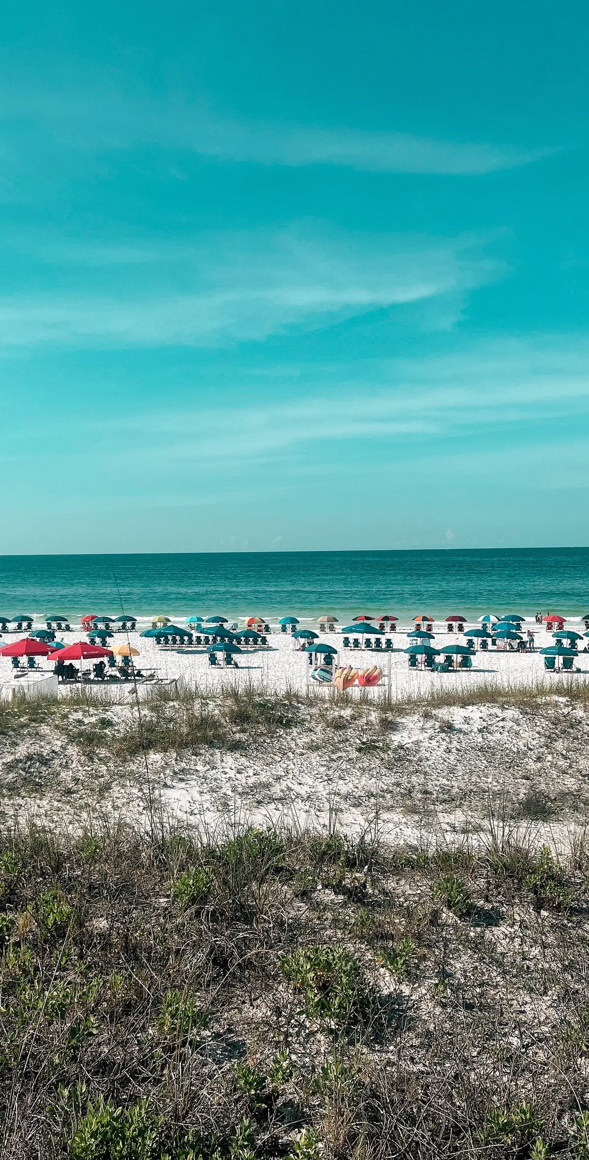 Shoneys on occasion  #summervibes #beachvibes #ocean #vacation 