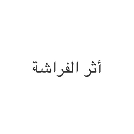 وأنتِ فراشة أثرها بغير جيل🤍#music #liyrics #explore #fyp #foryou #explore #المملكة_الاردنية_الهاشمية🇯🇴 #foryoupage #بوكلثوم #ممنون 