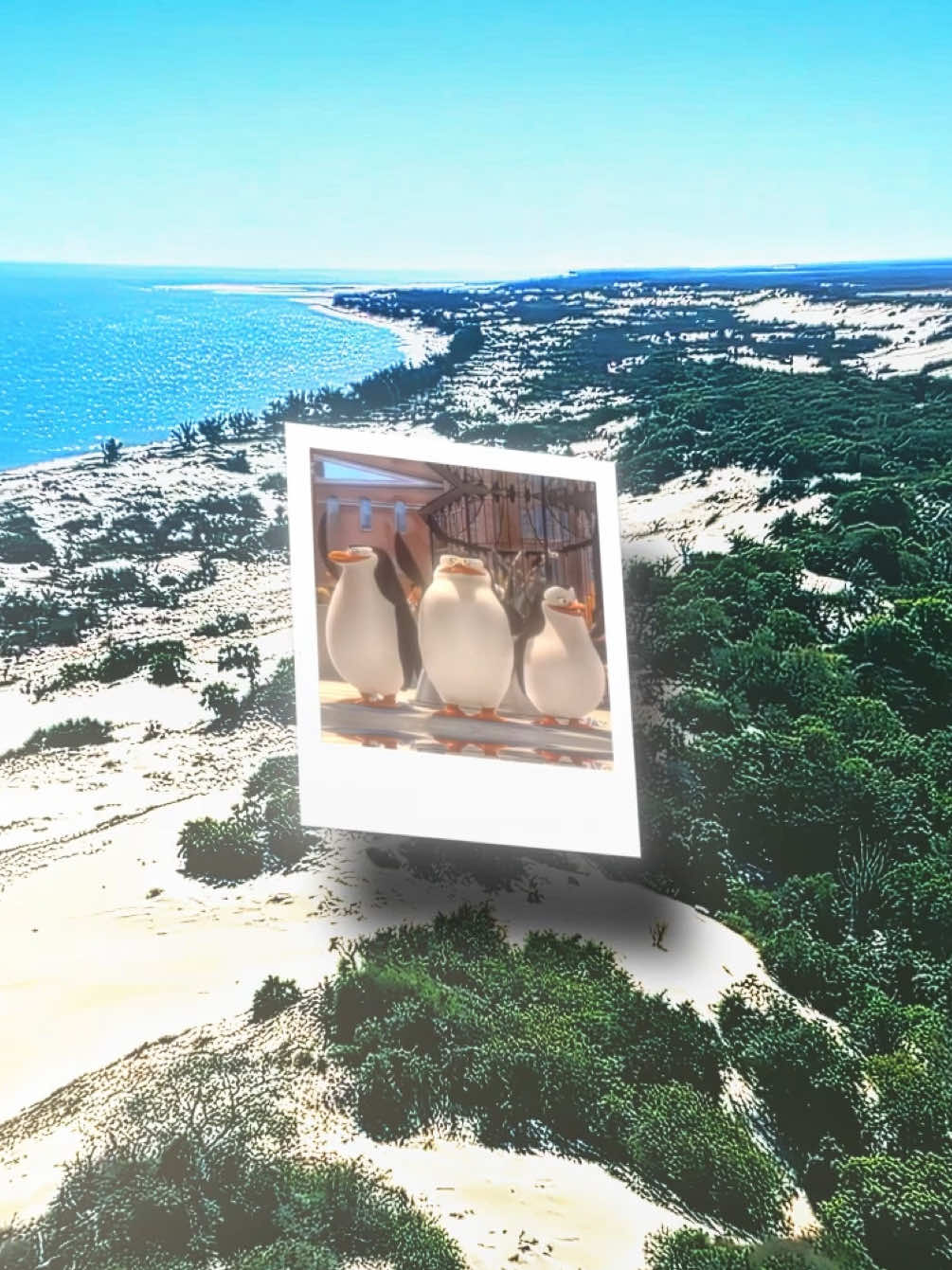 Back to doing country edits!!🔥☀️🇲🇬| An edit of Madagascar!! |Live:@Praise Praise #madagascar #countryedit #edit 