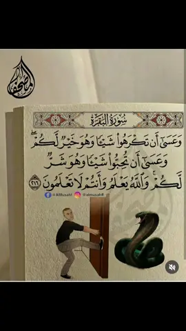 “وعسى أن تكرهوا شيئا وهو خير لكم، وعسى أن تحبوا شيئا وهو شر لكم، والله يعلم وأنتم لا تعلمون.” البقرة [٢١٦] 