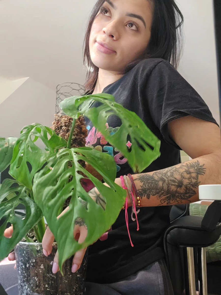 I mean the Monstera Esqueleto  was on my wish list for so long, now it's on my hands🌱✨️ #plantlover #houseplants #plantlife #plantfriends #plantsoftiktok #plants #plantok #plantobsessed #monsteraesqueleto #plantingwithmila 