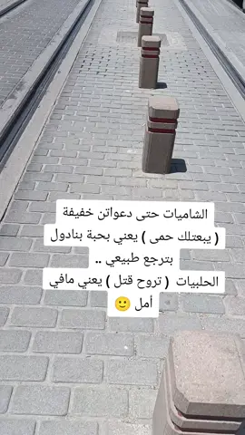 #قونيا________________قونيا😌💙 #مجرد________ذووووووق🎶🎵💞 #عفرين_راجو_بلبل_شيه_جنديرس 