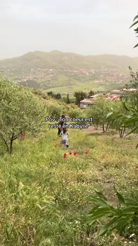 Comment on guérit d’un voyage en Algérie ? #fyp #kabyle #algeria #bringmeback 