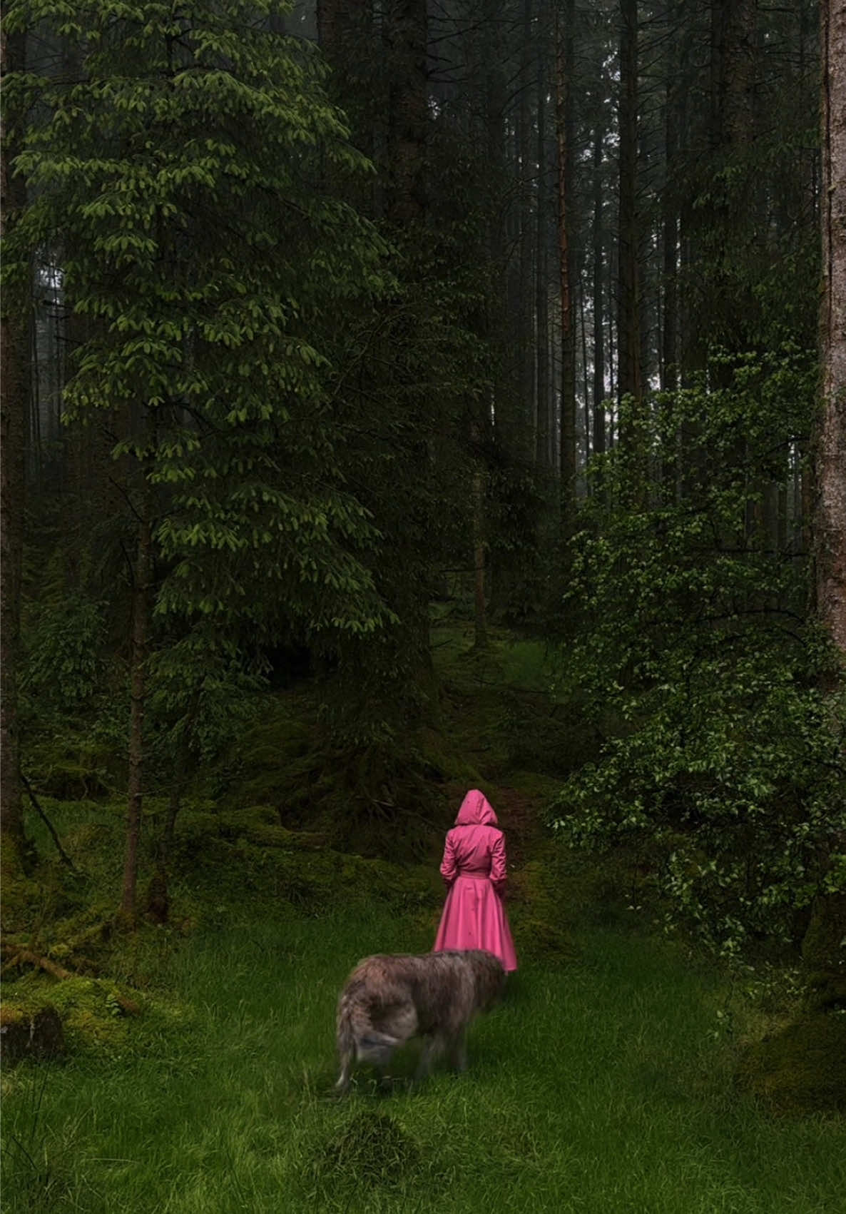 Irish summer☘️ad My @RainSisters | Design Coats brings a bit of cheer to a gloomy day. PS I have a discount code for you! Use ACLOTHESHORSE35 for 35 Euros discount from now until June 2nd💕 #darkcottagecore #irishwolfhound 