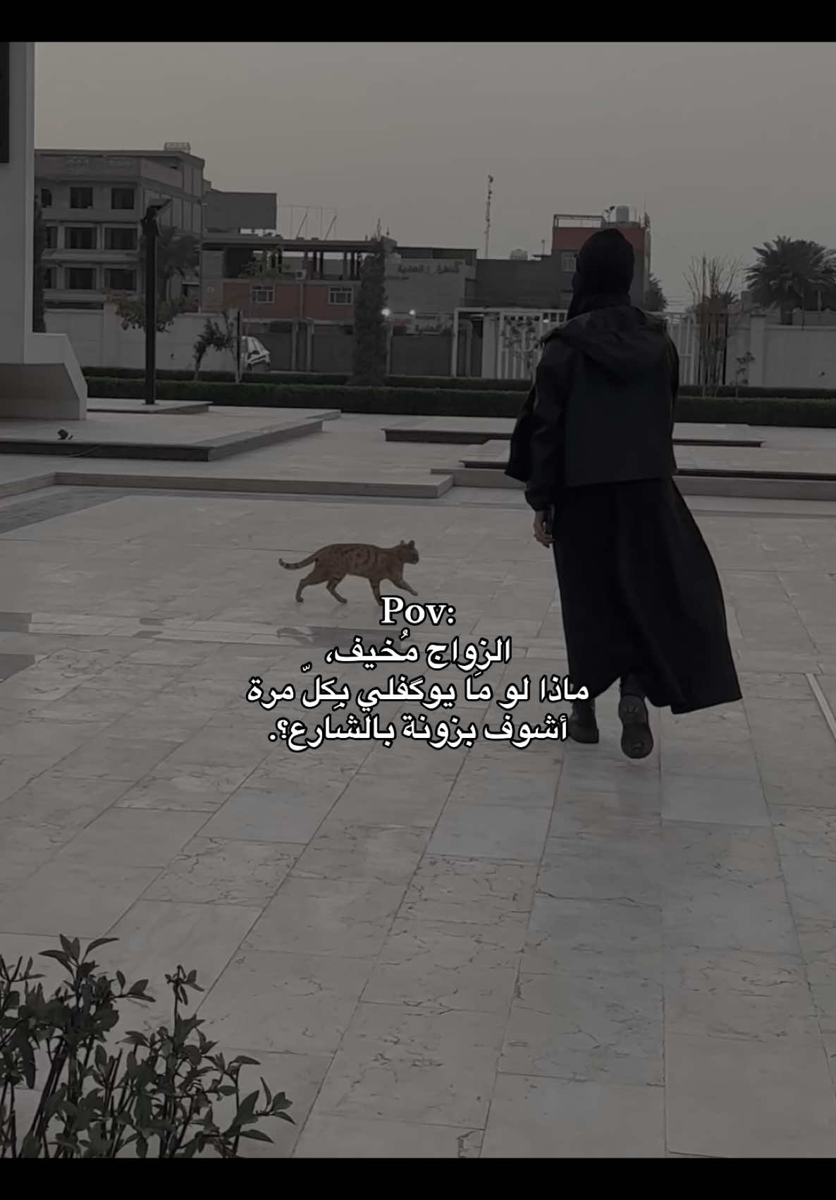 الأنستا في البايو ⭐️#تَهَجُد 