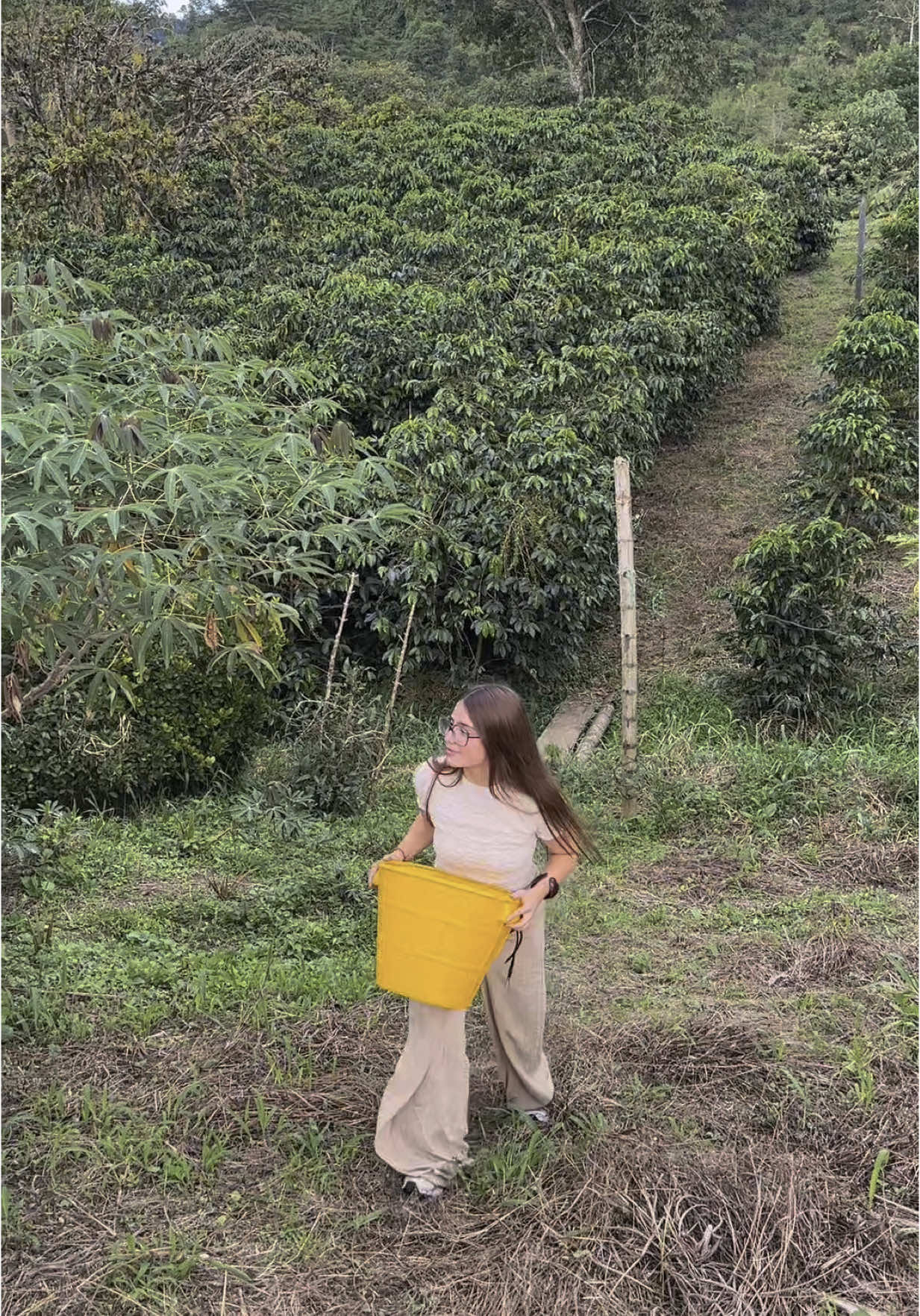 Publi. Hoy a Pablo le apetecía un buen Pacoffe, y como no nos quedaba fui a Colombia a recolectarlo :) @pacoffee.es 