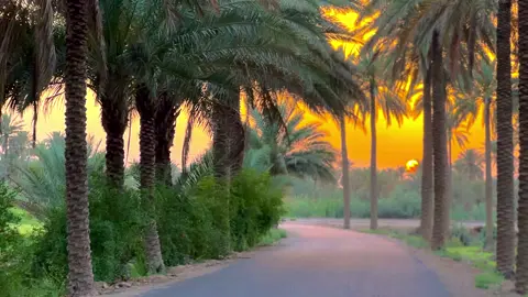 اسم المنطقه؟🤔#منتظرعمادالمسعودي 