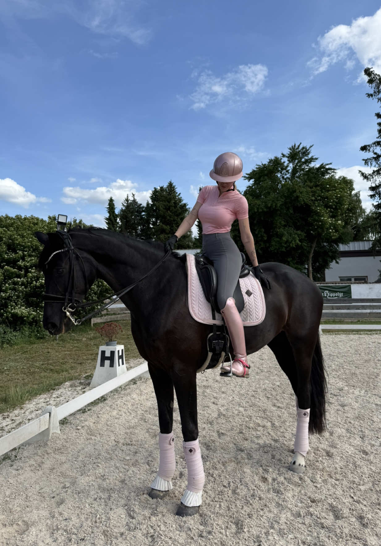 Na wer kennt die süße Maus? 🐴🖤 #fy #foryou #equestrian 