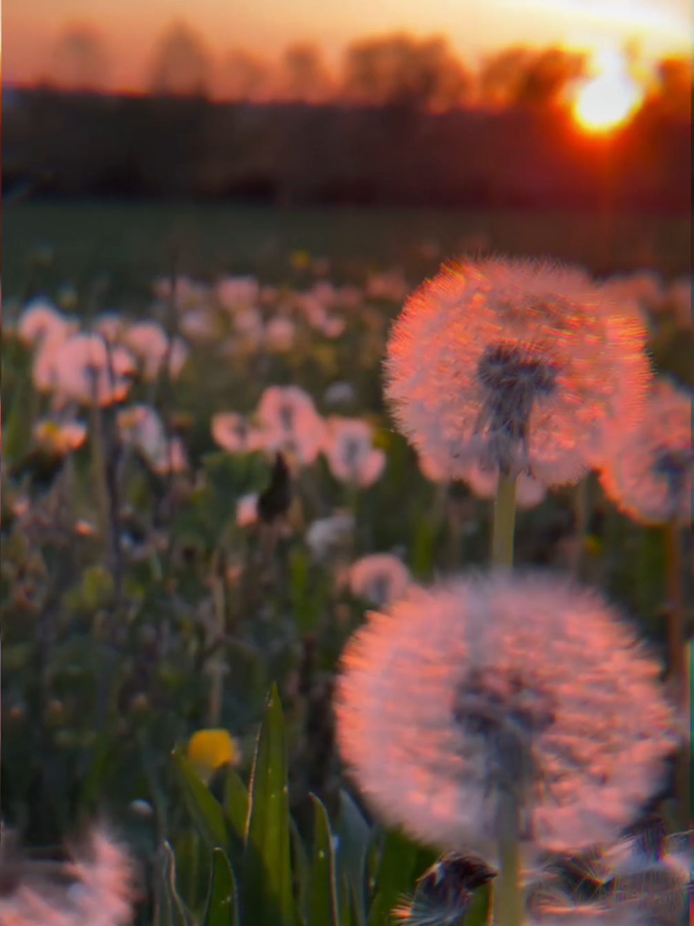 🌳🌿🌸☼ 𝕍𝕚𝕓𝕖𝕤 𝕠𝕗 ℕ𝕒𝕥𝕦𝕣𝕖 ☼🌸🌿🌳 #explorer #exploring #word #earth #fyyyyyyyyyyyyyyyy #nature #sun #viralvideos #switzerland #fyp #videos #soulmate #therapy #feel #feelings #dream #views #place #moments #travel #omg #loveyou #soul #foryoupage❤️❤️ #foryou #happiness #amazing 