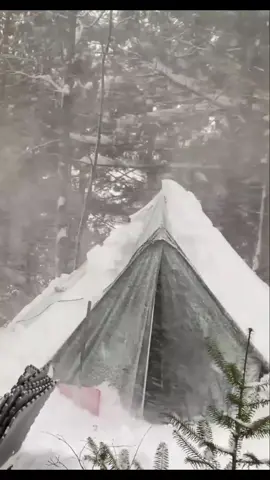 Camping at the Coldest Night of the Life Snowstorm at -33°C #coldweathercamping #wintercamping #Outdoors #foggyweather #snowstorm 