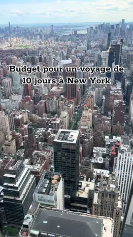 Le compte bancaire vide mais la tête pleine de souvenirs ! ✨✨✨ N’hésitez pas à me poser vos questions en commentaire ! #ny #nyc #Vlog 
