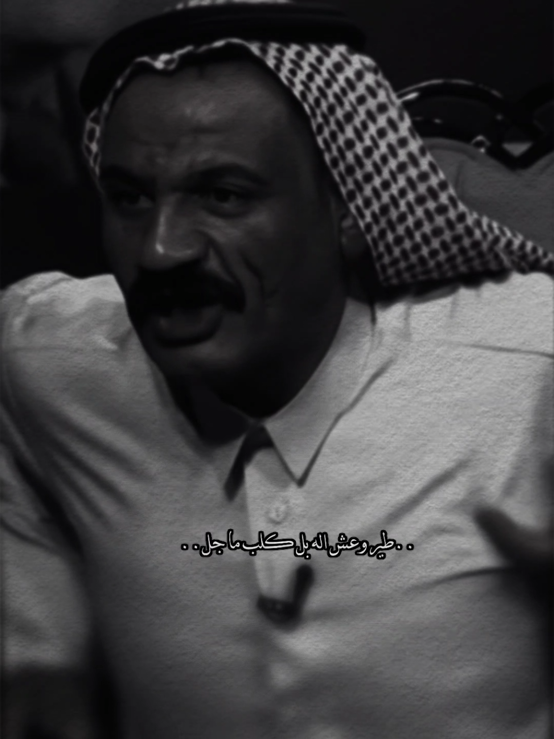 طير وعش اله بل كلبه ما جل#pyf #ذواقين #علي_جنوبي #رائد_ابو_فتيان #علي_تالي #ياد_عبدالله_الاسدي #سمير_صبيح #فاطمة_قيدار 