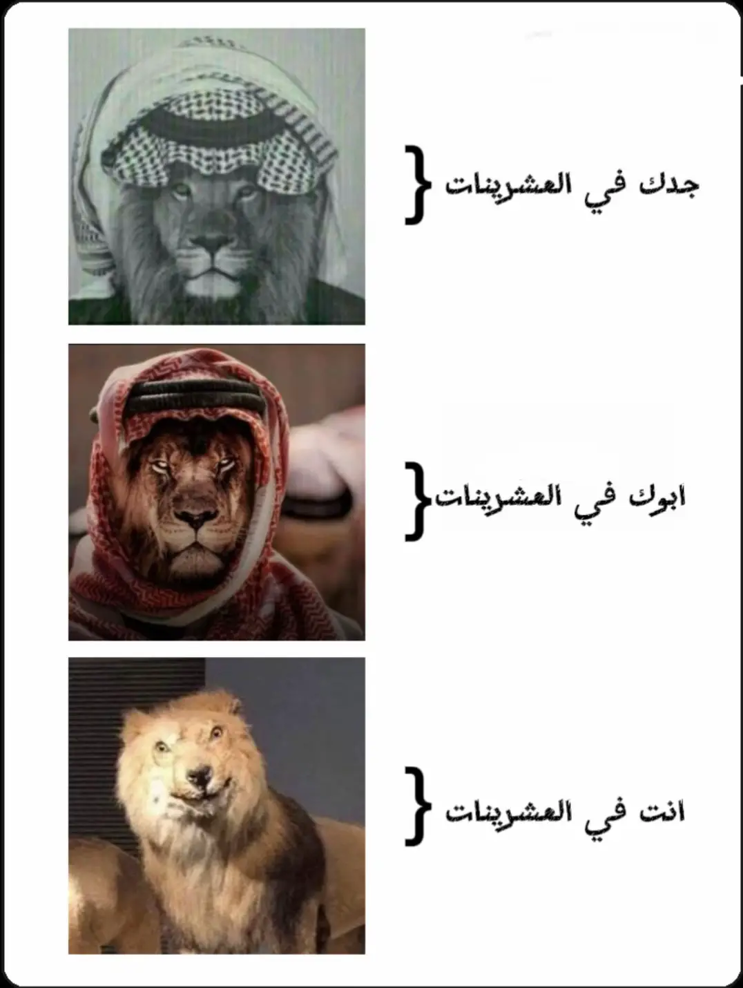 #explore #fyp #foryou #fypシ゚ #مالي_خلق_احط_هاشتاقات #اكسبلور #CapCut 