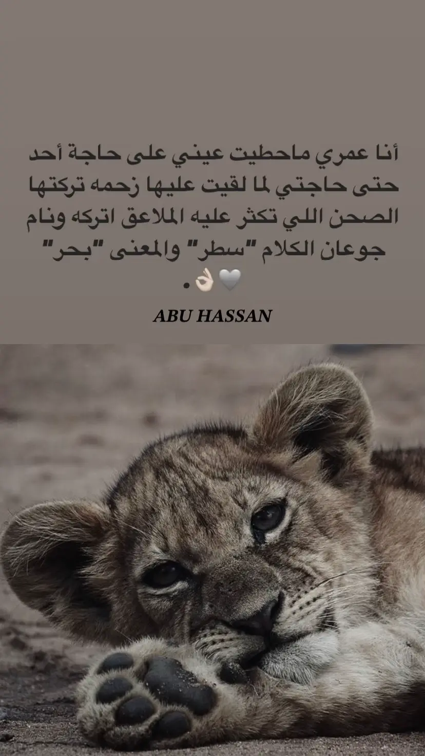 #عبارات #فوريو #اب_الحسن🖤📿 