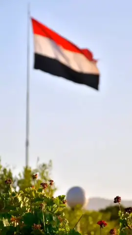 #مشاهدات_تيك_توك #اكسبلور # #يحقلك #تشمخ #براسك #لسماء #منيمنعك #