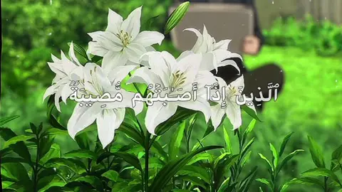 - اجر لي ولكم -         #اكتب_شي_توجر_عليه #اجر_لي_ولكم #قران_كريم #quran #قران_كريم #fyp 