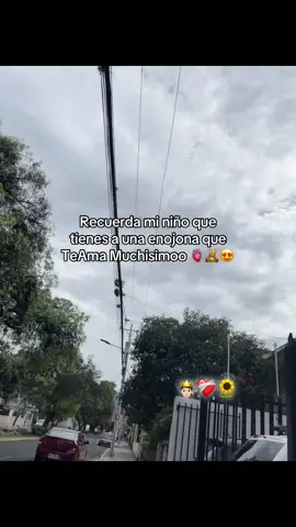 Precioso 😍🇪🇨#marilyn👸🏻❤️‍ #amtg🧸❤️‍ #paratiiiiiiiiiiiiiiiiiiiiiiiiiiiiiiiiii🦋 #ecuador🇪🇨 #FM08 #viral_video_tiktok #viral_video_tiktok 