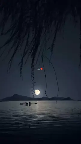 🖤🍁 #foryou #trending #fypシ #500k #nature #foryoupage #viral #crew07 #black 