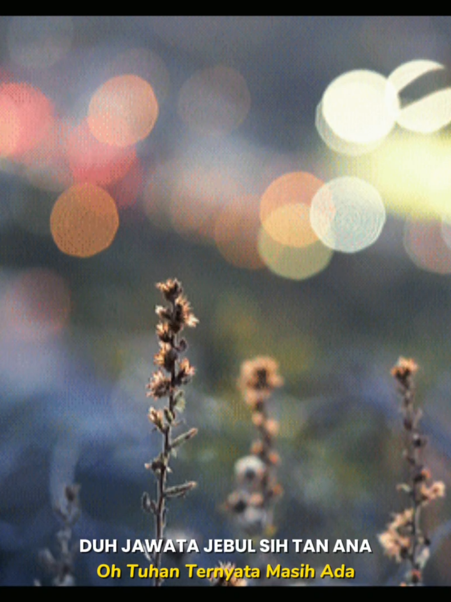 Duh Jawata jebul sih tan ana ya kang 😥 #CapCut #liriklagu #nirmala #lagujawa @aryagalih__  @shinta.nrlt  #lirikvideo #landscape #fypppppppppppppp 