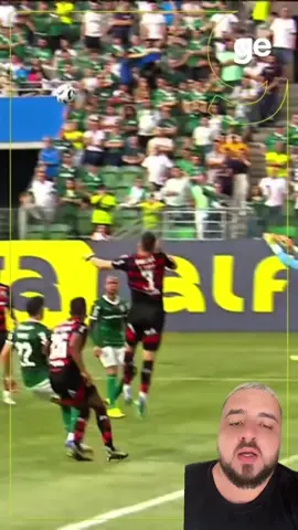 O goleiro Weverton já protagonizou lances que colocaram em risco jogadores rivais e esse lance no jogo entre Flamengo e Palmeiras de ontem, foi só uma dessas vezes.  #weverton #palmeiras #flamengo 