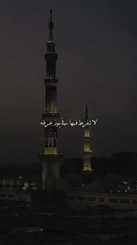 ادعية يوم عرفه 🥺🤍🍂#اكتب_شي_توجر_عليه #كلام_من_ذهب #اكسبلور #اكسبلورexplore 
