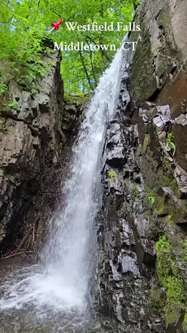 Wear sturdy shoes. Short walk in, but lots of opportunities to trip up. #chasewaterfalls  #outdoors2025  #ctoutdoors  #hike  #waterfall  #heartsinnature 