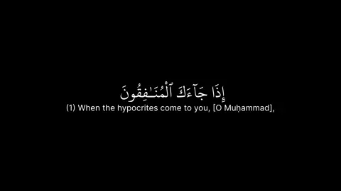 Surah Munafiqun #قران #قران_كريم #quran #quran_alkarim #quranrecitation 