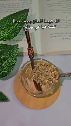 الخيبة تأتي دائماً من الذين قدمنا لهم كل شيء.. #العشق_الأخضر💚🧉 #متة #اصاله_نصري  #مبقاش_انا #🏹S #عملولي_أعادة_نشر  #متة_تايم #foryou #virel #fyp #fypシ゚  #مالي_خلق_احط_هاشتاقات #تصويري #🎻 